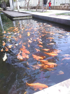 Kuntum Farm Field. Wisata Edukasi DI Kota Bogor Yang Sanat Cocok Untuk Anak