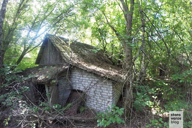 Radioactive solitude: Inside the Exclusion Zone, Chernobyl & Pripyat