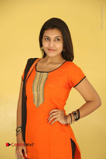 Telugu Actress Chandana Stills in Salwar Kameez at Karam Dosa Movie Press Meet  0005.JPG