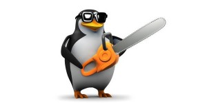 The Google Penguin update in detail