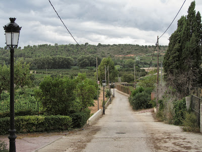 Montferri-Torre de Montferri-Tossa Grossa de Montferri, carrer en direcció als safareixos