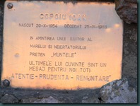 DSCN5167