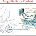 Fungsi Radiator Coolant Pada Sistem Pendingin