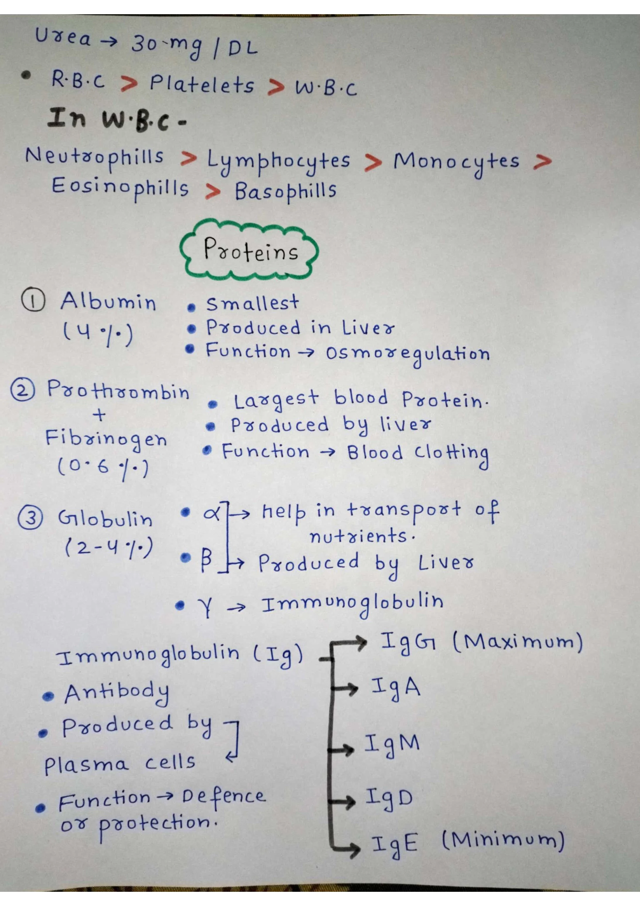 Body Fluids and Circulation - Blood, Lymph, and Heart Function