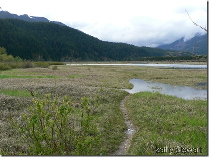 the path