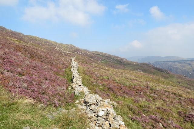 A dry stone wall, at 90 degrees to the path, running through heather and grass on the hillside.