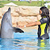 Ebube Nwagbo Chilling In Dubia, Kisses Dolphin 