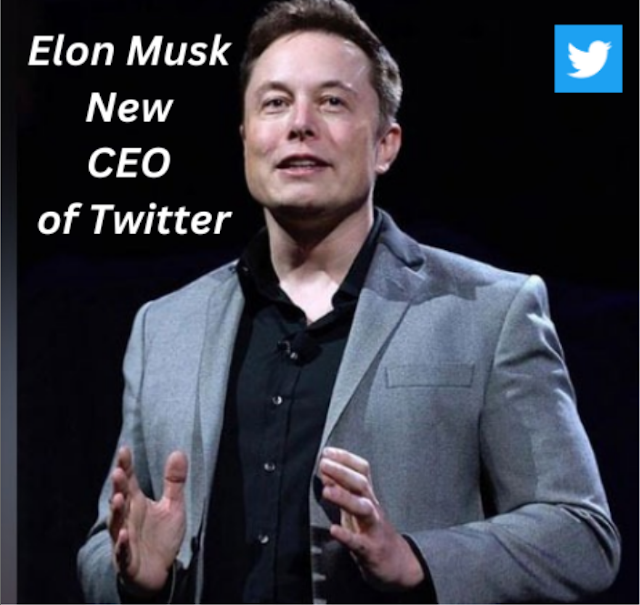 Elon Musk's Twitter Strategy: How He Harnesses Social Media for Innovation