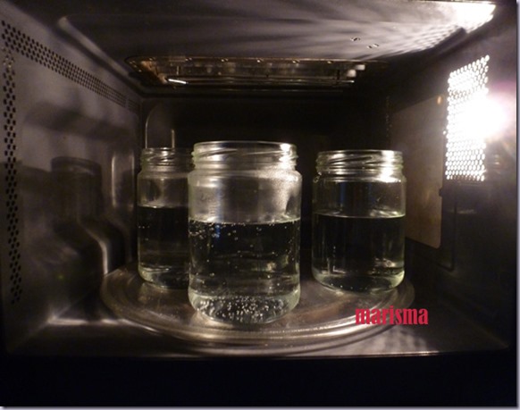esterilización en micro1 copia