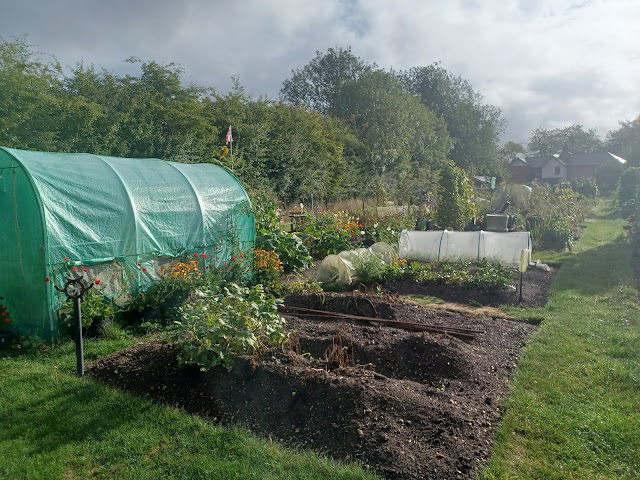 Misty allotment