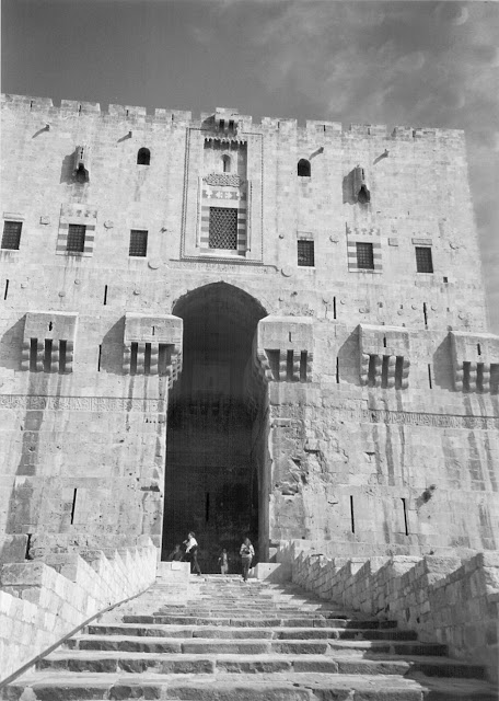 Aleppo. Cittadella