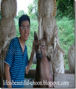 ALIM2848