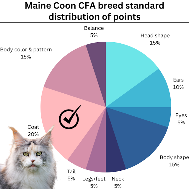 Maine Coon coat is the single most important part of the cat's appearance