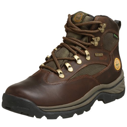 Timberland Men's 15130 Chocurua Trail GTX Boot,Brown/Brown,10.5 W