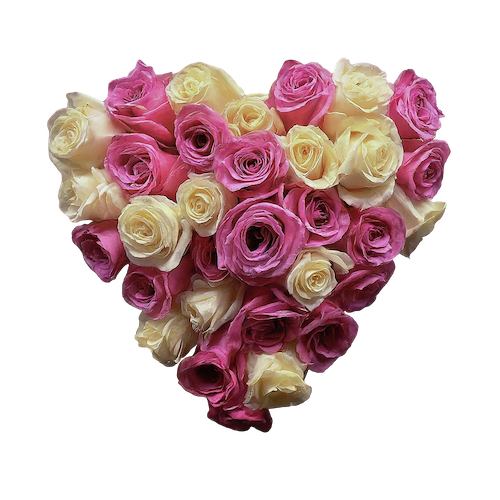 Clip Art  Heart Shape of Roses