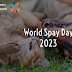 World Spay Day 2023