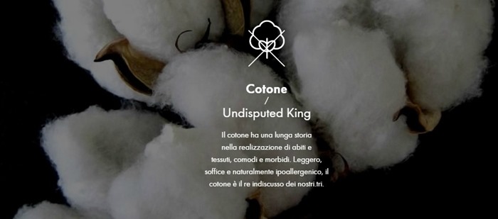 cotone