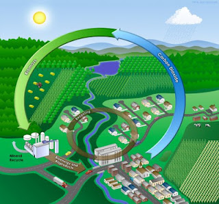 grafico de biomasa