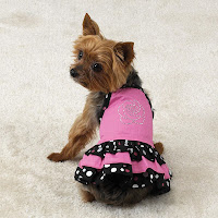 Dog Fashion Clothes1