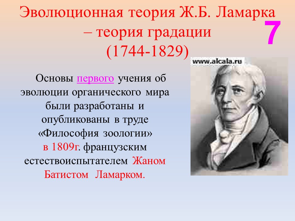 Эволюционная теория. Автор теории эволюции. Теория эволюции проект. Бонне теория эволюции.