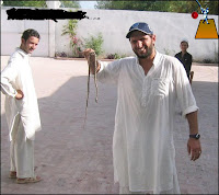 Shahid Afridi Funny Wallpapers