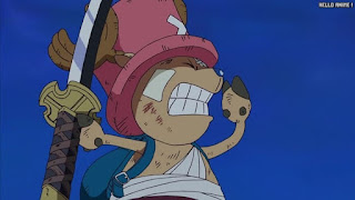 ワンピース アニメ ウォーターセブン編 252話 チョッパー Tony Tony Chopper | ONE PIECE Episode 252 Water 7