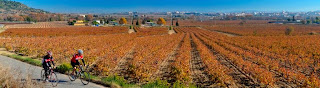 Cycling in Penedes with Montefusco Cycling