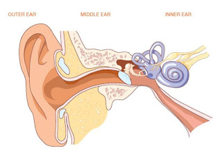 How To Clean The Ear Properly