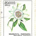 1982 - Argentina - Passiflora coerulea