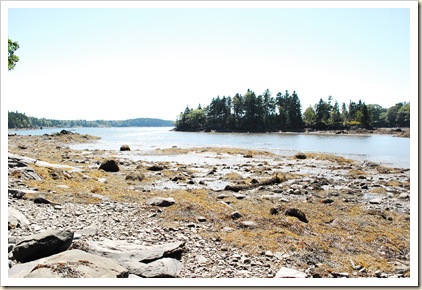 low tide island