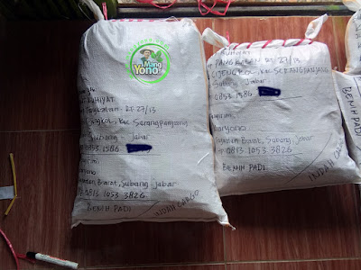 Benih Padi Pesanan YAYAT RUHIYAT Subang, Jabar.   Benih Sesudah di Packing