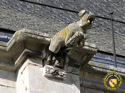 Toul - Cathédrale Saint-Etienne : Gargouille