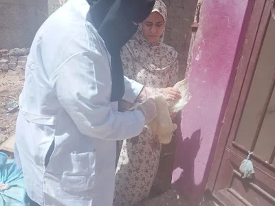 بيطري كفر الشيخ  : تقصي نشط وترصد لمرض انفلونزا الطيور بالكوم الاحمر