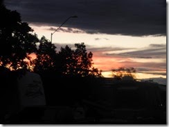 DSCN7048