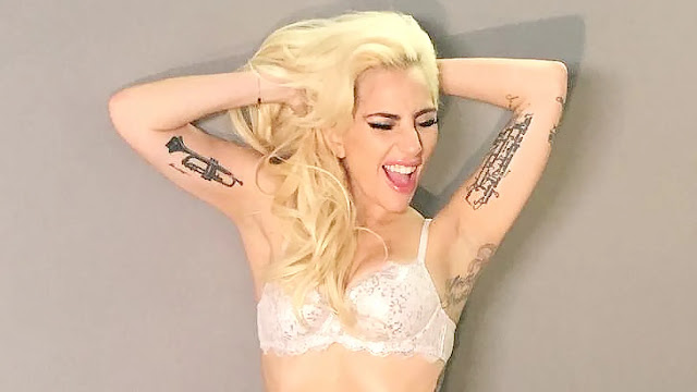 Top Reasons Why Some People Dislike Lady Gaga: Controversies & Criticisms