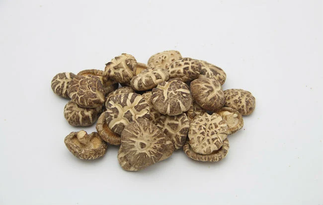 Funghi shiitake