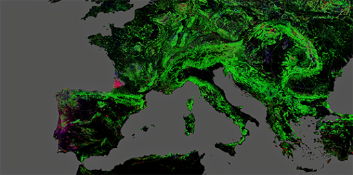 Florestas Landsat