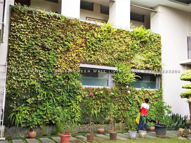 29 Gambar Desain Taman Vertikal (Vertical Garden) dinding hijau Taman Vertikal (tentang-tanaman) di ketahui sebagai vertical garden atau mungkin green wall living wall, Temukan gambar vertikal garden dinding hijau contoh taman vertical garden berkualitas tinggi, Cari dari 29 gambar Taman Vertikal teratas dan tidak akan anda temukan foto stok berkualitas tinggi yang tidak akan anda temukan di tempat lain,