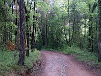 Camí sota la Carena i a prop de la Riera de Sant Julià