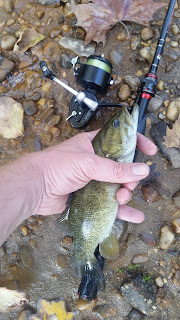 little patuxent smallmouth bass