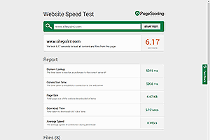 PageScoring Website Speed Test site banner logo