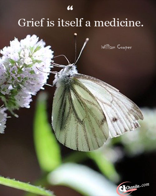 Quotes on grief, best grief quotes, quotes about grief, future quotes, best teaching quotes, life quotes, best quotes, motivational quotes, amazing grief quotes, Amazing quotes, amazing teaching quotes, inspirational quotes, quotes, all grief quotes, Deep quotes, deep grief quotes, emotional quotes, best emotional quotes.encouraging quotes, Inspirational quotes. Freedom quotes, future quotes, focus quotes, life changing Quotes, life quotes, quotes to get success. Love quotes, relationship quotes,famous quotes, Friendship quotes. , Funny quotes,good quotes,gratitude quotes.