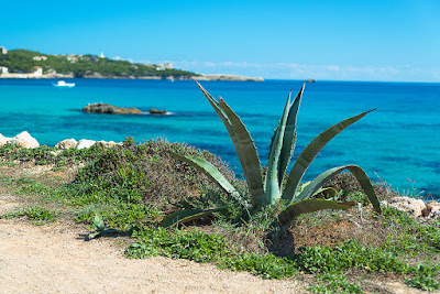 Cala Radjada Strandpromenade von Fotograf Michael Schalansky