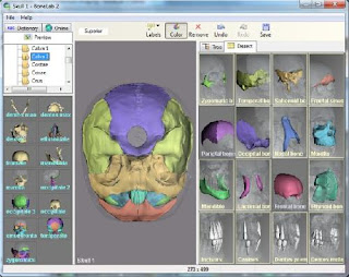 BoneLab 2 v2.3.36 Full Version with Patch