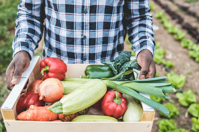 ‘Farm to Food Bank Program’ Had 25 Percent Increase in Total Pounds of Produce in Fiscal Year 2022
