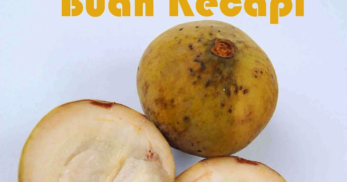 Manfaat Buah Kecapi atau Sentul untuk Kesehatan