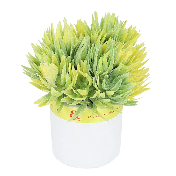 ANDBLOOMS - &BLOOMS Small Ceramic Flower Pot with Artificial Plants