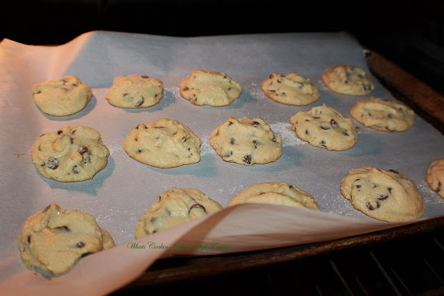 these are a buttery peanut butter homemade from scratch cookie with chocolate chips in them. These are how to make the best ever peanut butter chocolate chips cookies. These cookies are on a cookie sheet with parchment paper on them so they wont stick and are easy to remove after cooling.