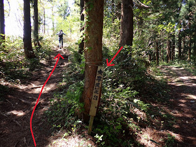 八乙女山登山 太平展望台