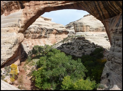 Natural Bridges Nat'l Monument Sipapu Bridge 6